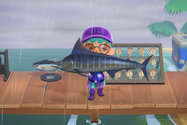 Conseil Tous les poissons d'Animal Crossing New Horizons